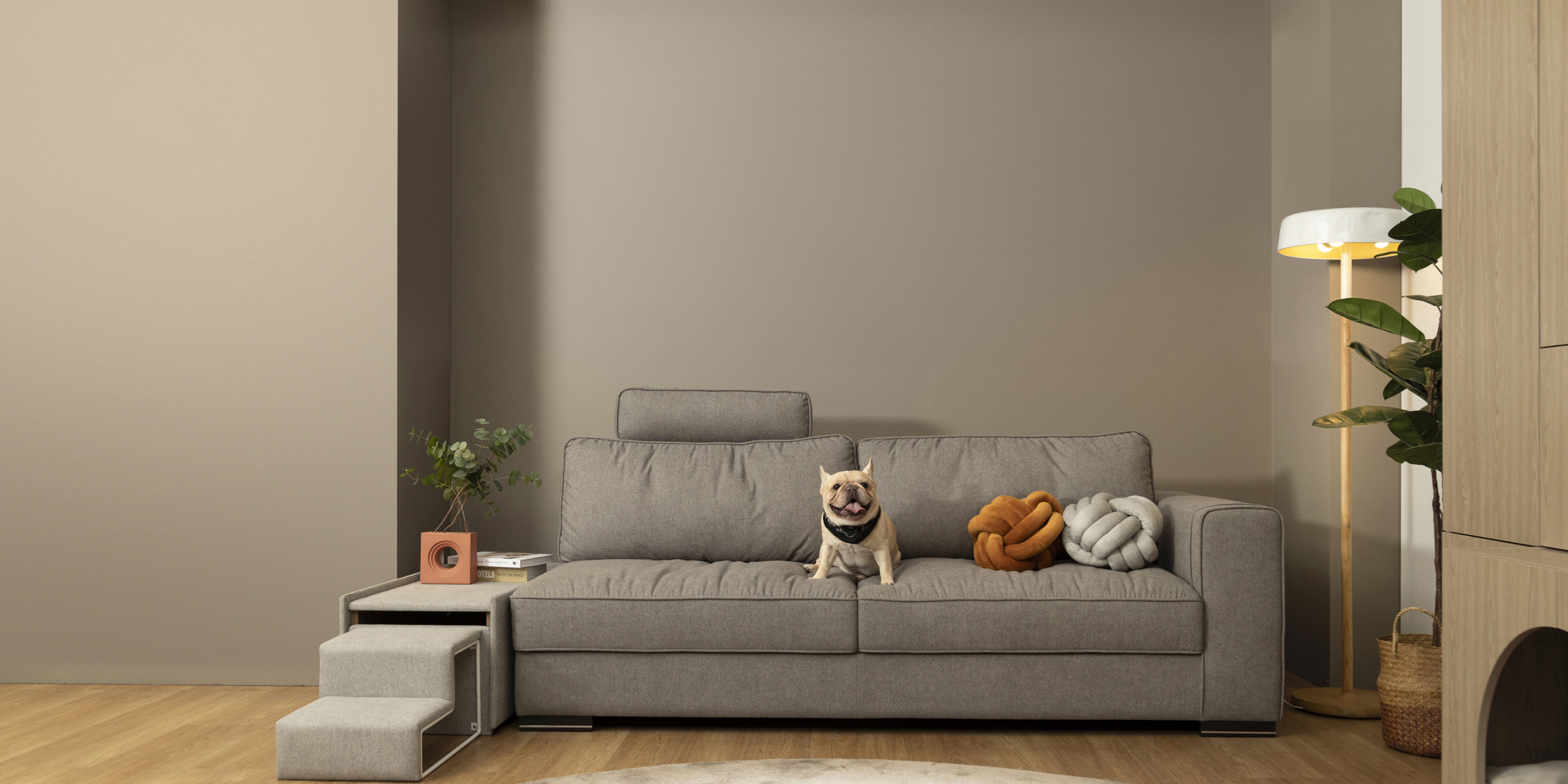 dog-stap5289
