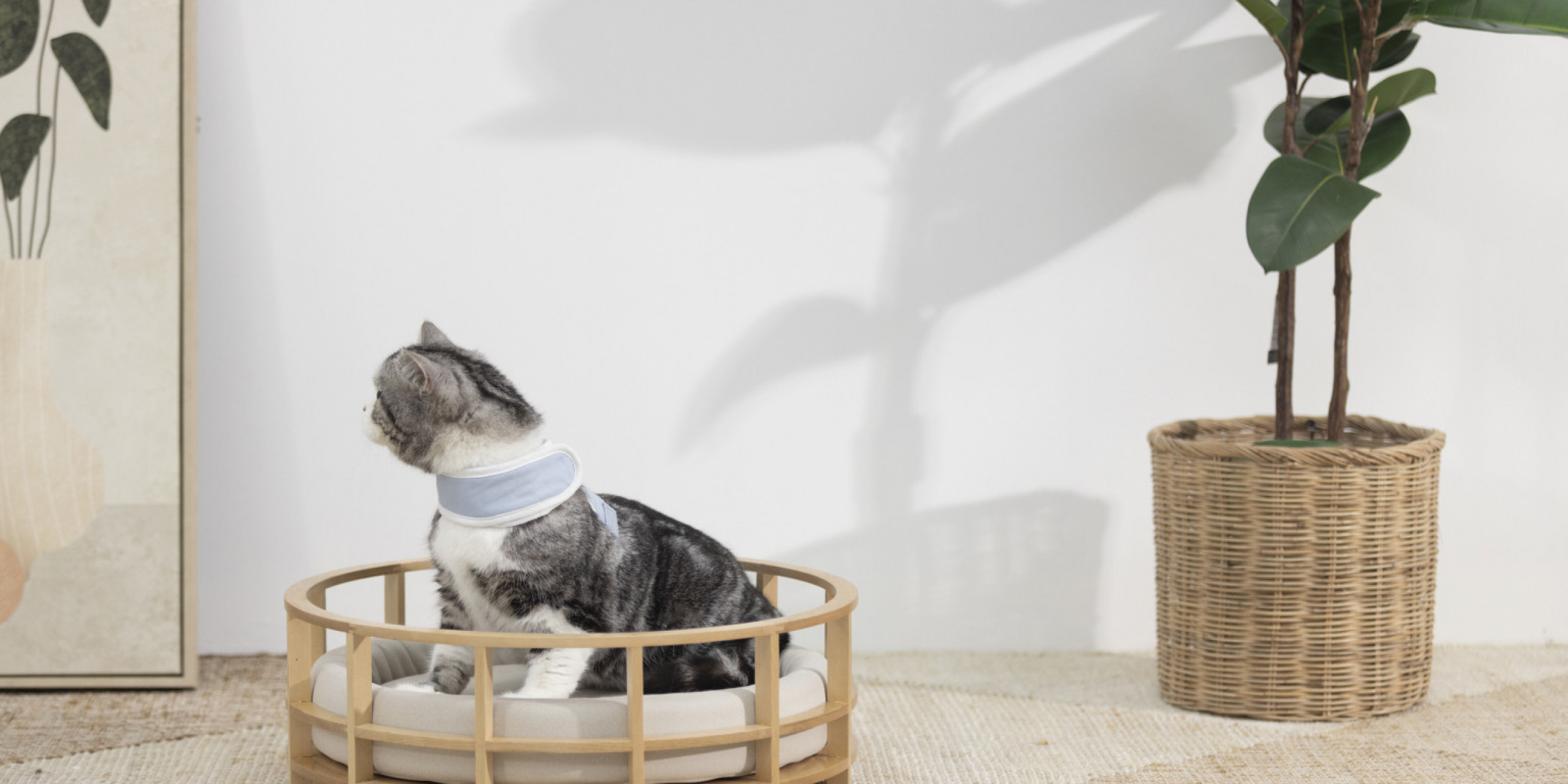 Maru-mini-banner