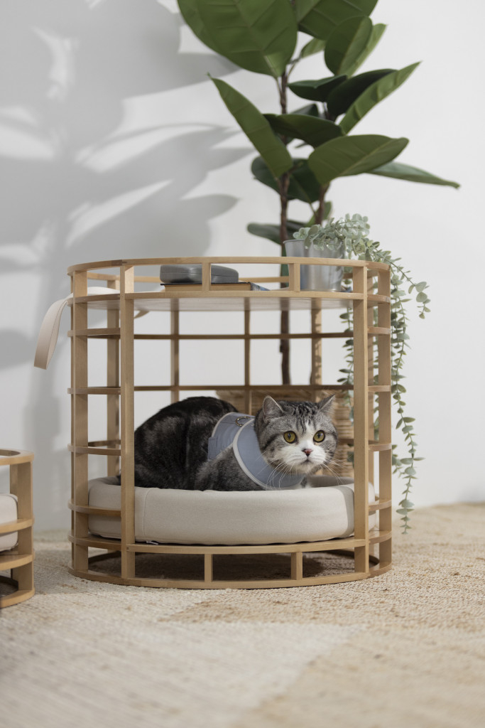 Maru-Grand-preview