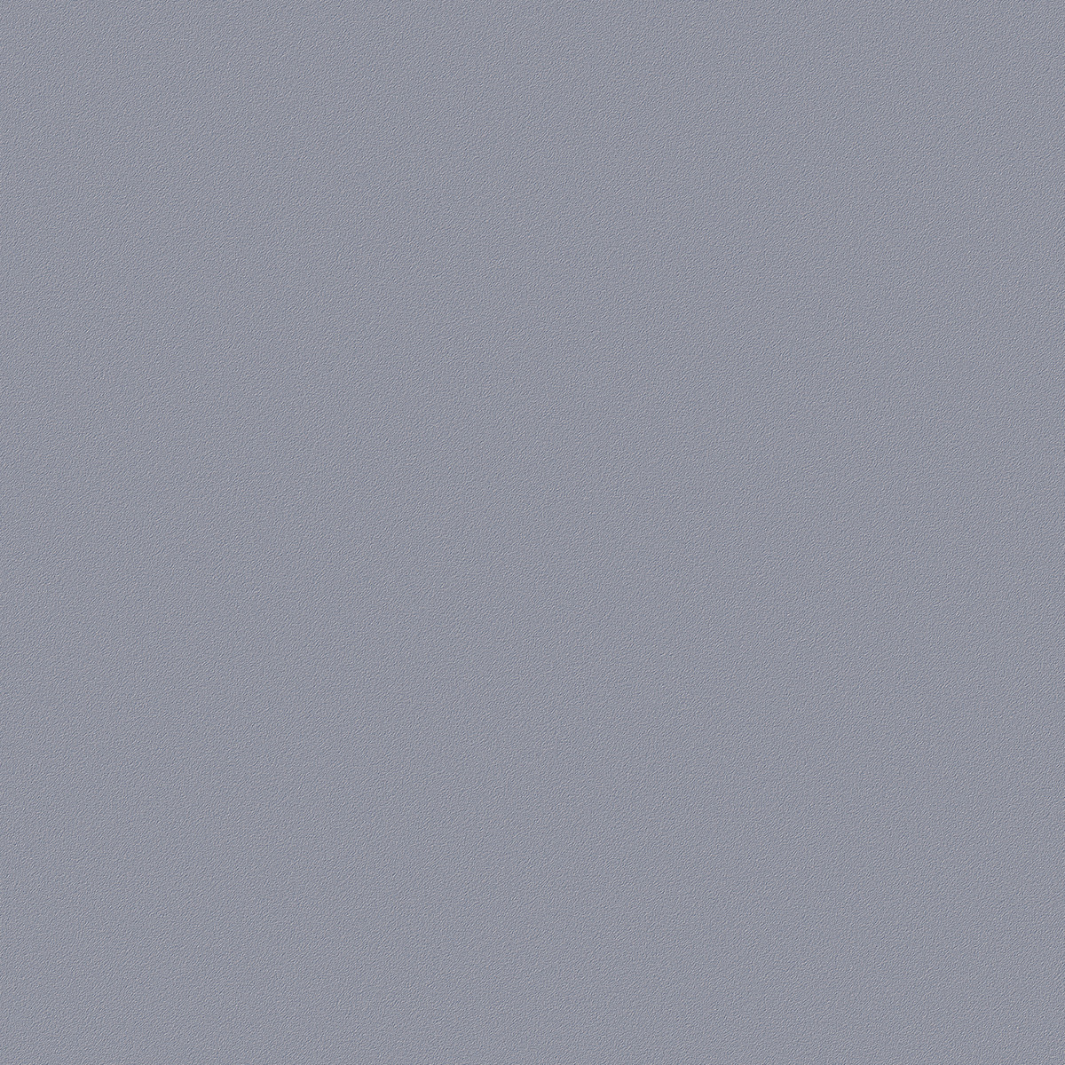 RS119