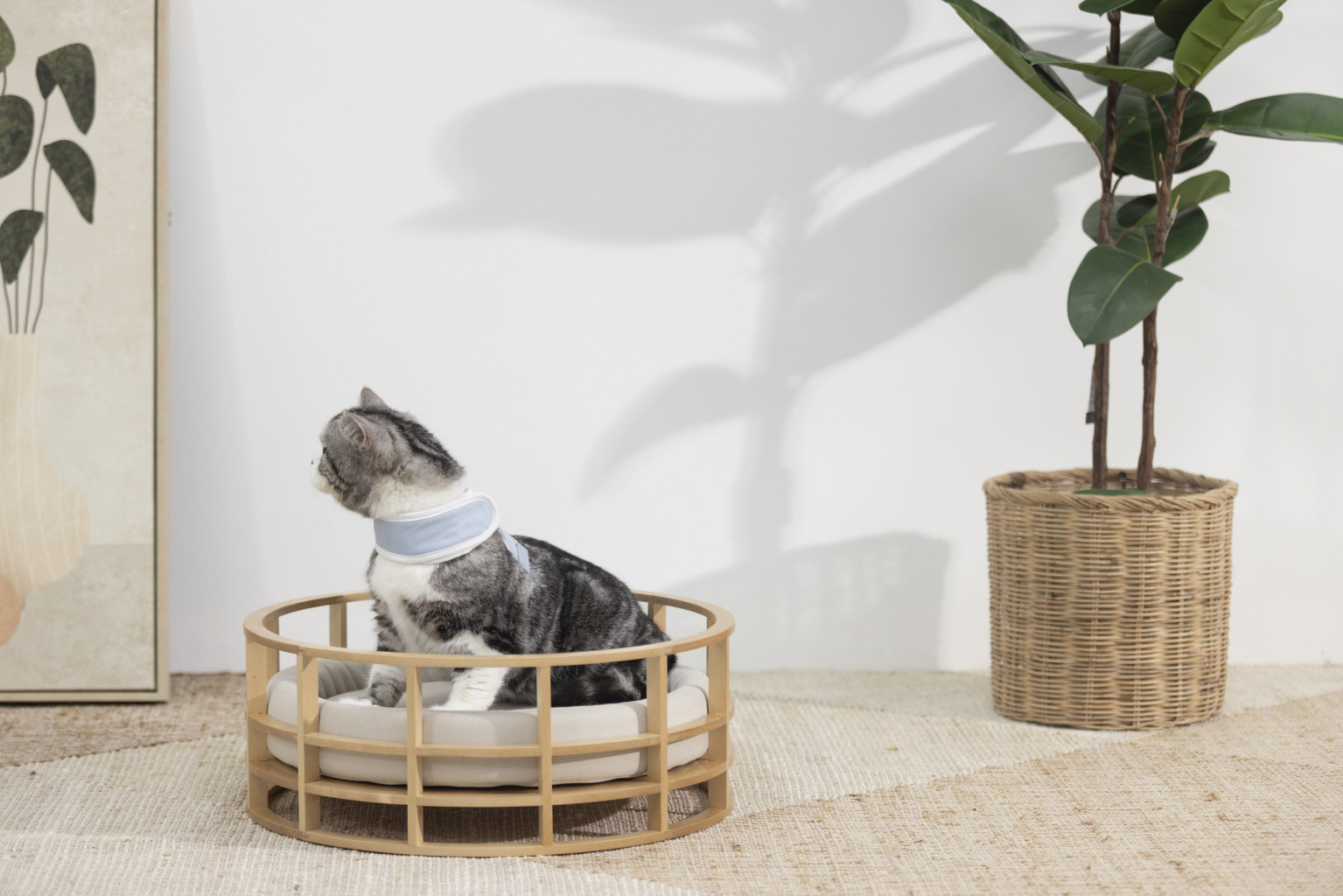 Maru-mini-preview1