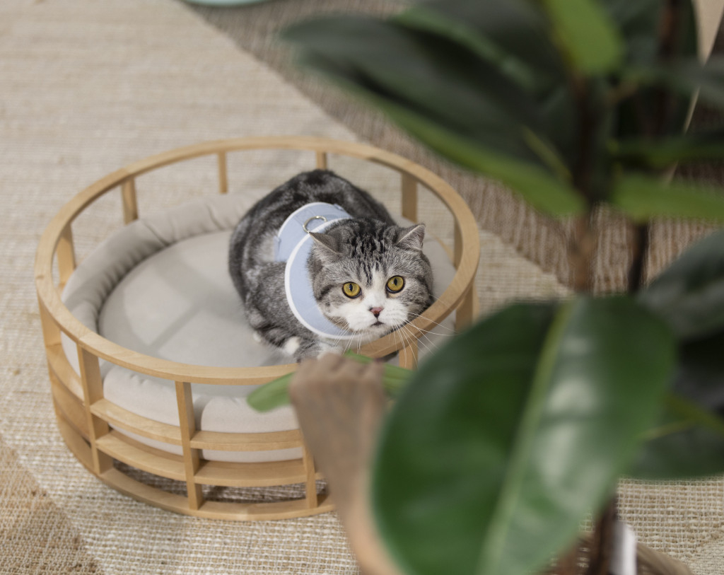 Maru-mini-preview2